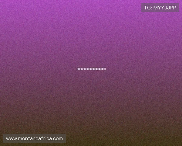 酷玩棋牌：智力与娱乐结合的完美游戏世界