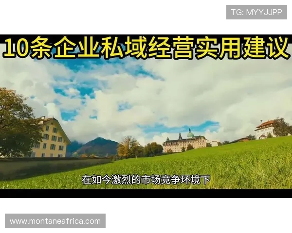 提升ag手机版全站登录安全等级的实用建议确保账号信息不被泄露 提升ag手机版全站登录安全等级的实用建议确保账号信息不被泄露