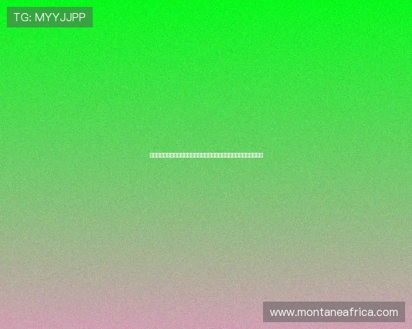 海星体育真人手机版优化界面设计，操作更流畅，提升用户体验和互动乐趣